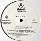 BATTLECAT : ON TOP THE WORLD  / STONE COLD NUT
