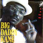 BIG DADDY KANE : TO BE YOUR MAN  / AIN'T NO STOPPIN' US NOW