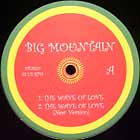 BIG MOUNTAIN : THE WAVE OF LOVE