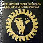 BRAND NEW HEAVIES : YOU ARE THE UNIVERSE