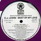 CJ LEWIS : BEST OF MY LOVE