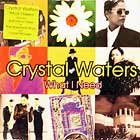 CRYSTAL WATERS : WHAT I NEED  / GHETTO DAY