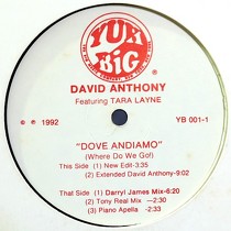 DAVID ANTHONY  ft. TARA LAYNE : DOVE ANDIAMO (WHERE GO WE GO!)