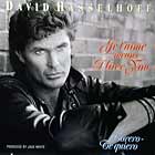 DAVID HASSELHOFF : JE T'AIME MEANS I LOVE YOU