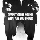 DEFINITION OF SOUND : WHAT ARE YOU UNDER