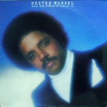 DEXTER WANSEL : WHAT THE WORLD IS COMING TO