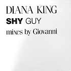 DIANA KING : SHY GUY  (SALAH EINSTEIN MIX)