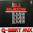 DJ SHADOW : LIVE!!! Q-BERT MIX