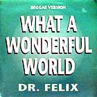 DR. FELIX : WHAT A WONDERFUL WORLD  (REGGAE VERSION)