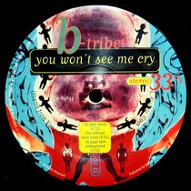 B-TRIBE : YOU WON'T SEE ME CRY