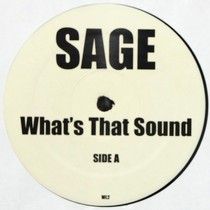 SAGE : WHAT'S THAT SOUND  / CAN YOU FEEL IT