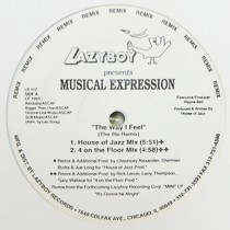 MUSICAL EXPRESSION : THE WAY I FEEL  (THE RE-REMIX)