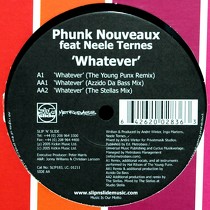 PHUNK NOUVEAUX  ft. NEELE TERNES : WHATEVER