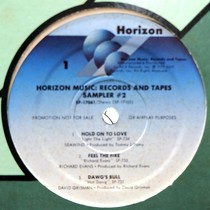 V.A. : HORIZON RECORDS AND TAPES SAMPLER  #2