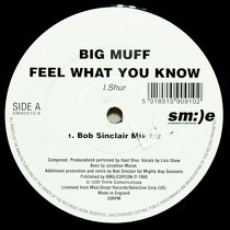 BIG MUFF : FEEL WHAT YOU KNOW