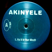 AKINYELE : PUT IT IN YOUR MOUTH  / SEX IN THE CITY