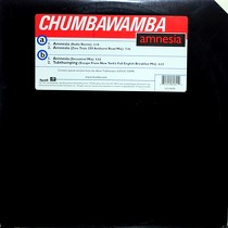 CHUMBAWAMBA : AMNESIA  / TUBTHUMPING