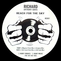 RICHARD ANTHONY DAVIS : REACH FOR THE SKY