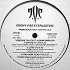 E.V.E. : GROOVE OF LOVE  - ALBUM SAMPLER