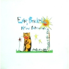 EDIE BRICKELL & NEW BOHEMIANS : SHOOTING RUBBERBANDS AT THE STARS