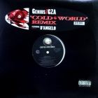 GENIUS / GZA : COLD WORLD  (REMIX)