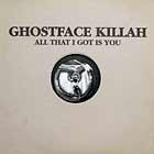 GHOSTFACE KILLAH : ALL THAT I GOT IS YOU