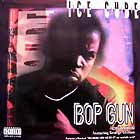 ICE CUBE  ft. GEORGE CLINTON : BOP GUN (ONE NATION)