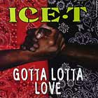 ICE T : GOTTA LOTTA LOVE