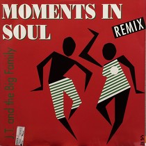 J.T. & THE BIG FAMILY : MOMENTS IN SOUL  (REMIX)