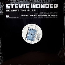 STEVIE WONDER  ft. Q-TIP : SO WHAT THE FUSS