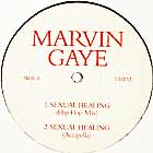 MARVIN GAYE : WHAT'S GOING ON  2003 / SEXUAL HEALING (HIP HOP MIX)