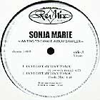 SONJA MARIE : AND I GAVE MY LOVE TO YOU  (DJ USE ONLY REMIX)