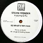 STEVIE WONDER  ft. Q-TIP, PRINCE, EN VOGUE : SO WHATS THE FUSS  (REMIX)