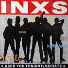 INXS : NEED YOU TONIGHT