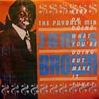 JAMES BROWN : THE PAYBACK MIX  (KEEP ON DOING WHAT ...