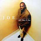 JOE : ALL THAT I AM  / ALL THE THINGS (YOUR...