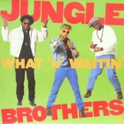JUNGLE BROTHERS : WHAT U WAITIN' 4 ?  / J. BEEZ COMIN' ...