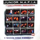 JUNIOR M.A.F.I.A.  ft. AALIYAH : I NEED YOU TONIGHT