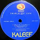KALEEF : TRIALS OF LIFE