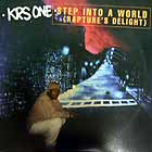 KRS ONE : STEP INTO A WORLD