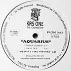 KRS ONE  ft. COURTNEY TERRY : AQUARIUS