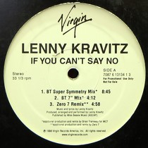 LENNY KRAVITZ : IF YOU CAN'T SAY NO