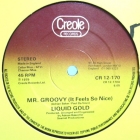LIQUID GOLD : MR. GROOVY (IT FEELS SO NICE)