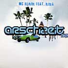 MC RONIN  ft. NINA : ARSCHZEIT BABY