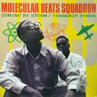 MOLECULAR BEATS SQUADRON : COMING BY STORM