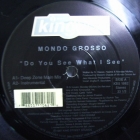 MONDO GROSSO : DO YOU SEE WHAT I SEE