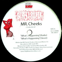 MR. CHEEKS : WHAT HAPPENING