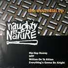 NAUGHTY BY NATURE : THE ESSENTIAL EP