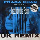 PRAGA KHAN  ft. JADE 4 U : INJECTED WITH A POISON  (UK REMIX)