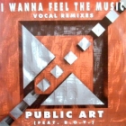 PUBLIC ART : I WANNA FEEL THE MUSIC  (VOCAL REMIXES)